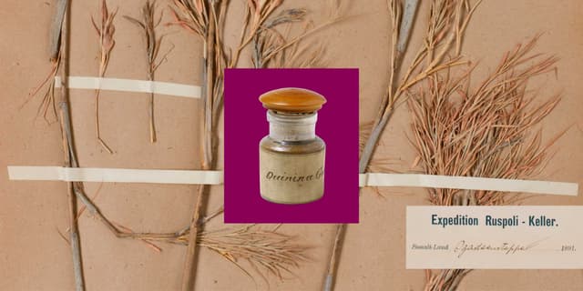 image.imageformat.1286.58330068